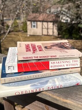 Mindfulness Book Bundle, Buddhism, Faith, Meditation, by Bayda, Magid, Chodron